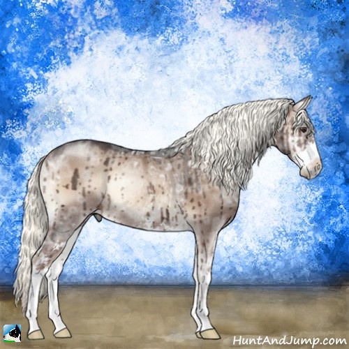 Horse Color:Liver Red Dun Ice Onyx Mushroom Sabino Rabicano Brindle 