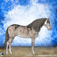 Horse Color:Liver Red Dun Ice Mushroom Sabino Brindle 