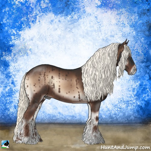 Horse Color:Liver Red Onyx Mushroom Sabino 