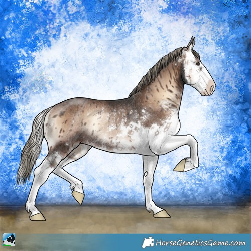 Horse Color:Liver Red Onyx Mushroom Sabino Splash Rabicano