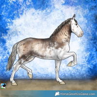 Horse Color:Liver Red Onyx Mushroom Sabino Splash Rabicano 