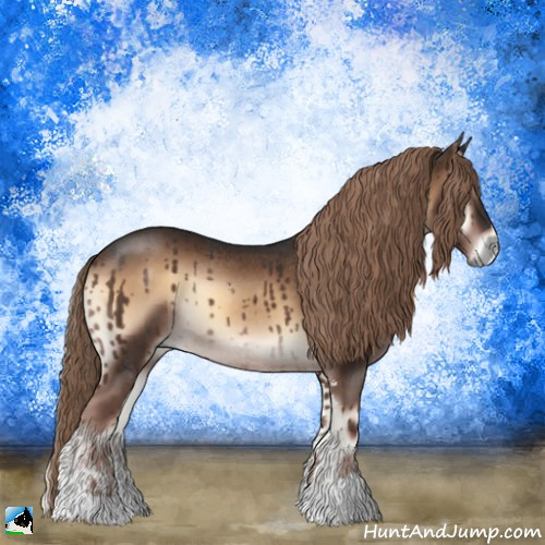 Horse Color:Liver Red Onyx Sabino Rabicano 
