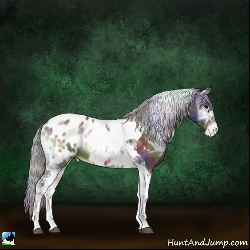 Horse Color:Nacre Silver Bay Ice Onyx Tobiano Appaloosa 