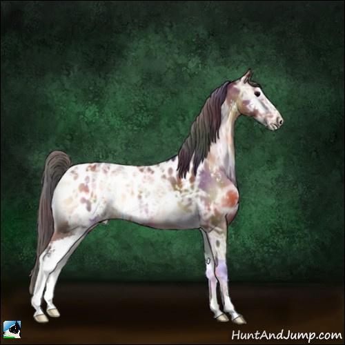 Horse Color:Nacre Bay Ice Onyx Sabino Appaloosa 