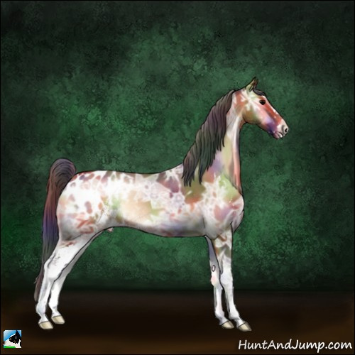 Horse Color:Nacre Bay Ice Onyx Sabino Appaloosa 