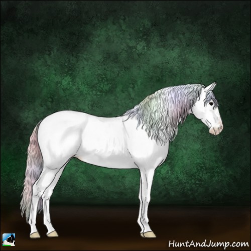 Horse Color:Nacre Silver Brown Ice Onyx Sabino Tobiano Frame Appaloosa Rabicano 