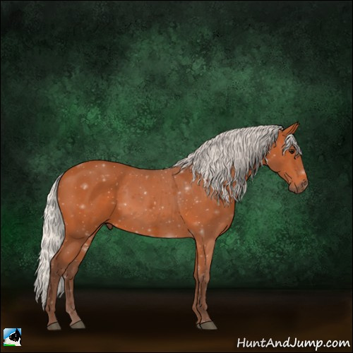 Horse Color:Silver Bay 
