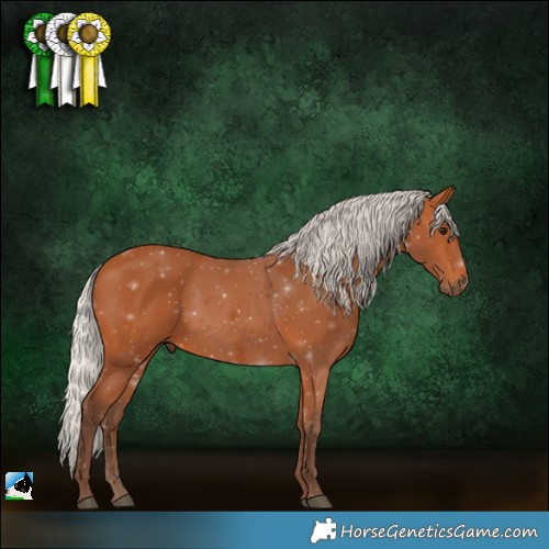 Horse Color:Silver Bay 