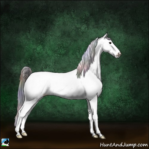 Horse Color:Nacre Bay Ice Onyx Sabino Appaloosa 