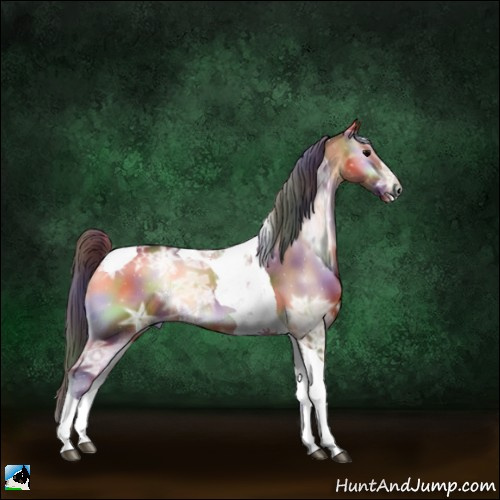 Horse Color:Nacre Bay Ice Onyx Sabino Tobiano 