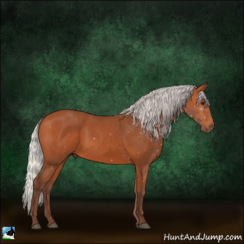 Horse Color:Silver Bay 