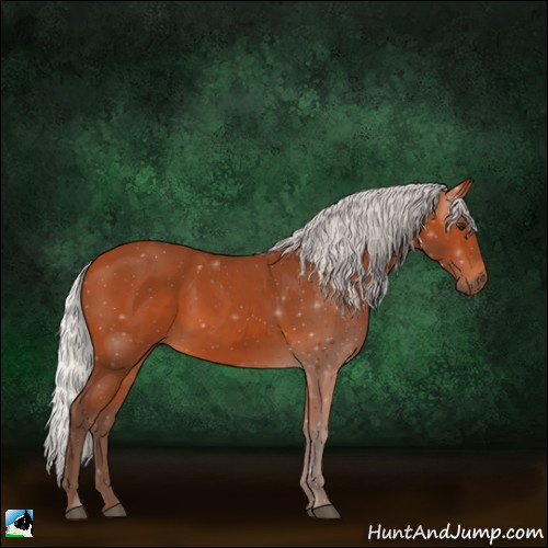 Horse Color:Silver Bay 