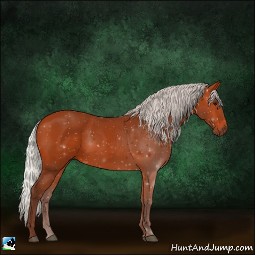 Horse Color:Silver Bay 