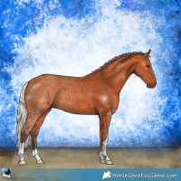 Horse Color:Silver Bay 