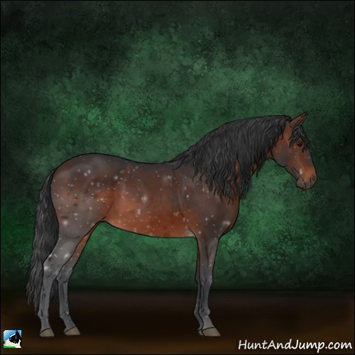 Horse Color:Brown 