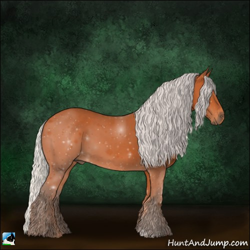 Horse Color:Silver Bay 