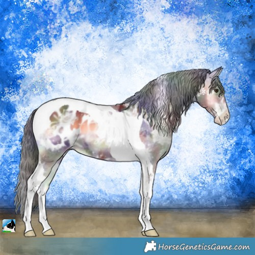 Horse Color:Nacre Liver Red Onyx Ice Tobiano Appaloosa