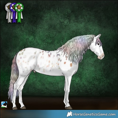 Horse Color:Nacre Buckskin Ice Onyx Sabino Appaloosa 