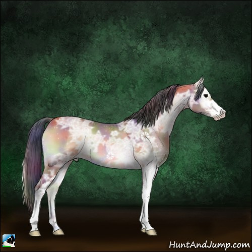 Horse Color:Nacre Bay Ice Onyx Sabino 