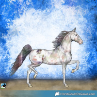 Horse Color:Nacre Liver Red Onyx Ice Tobiano Appaloosa