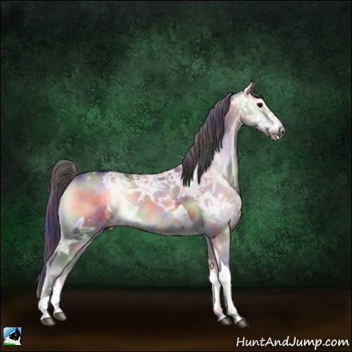 Horse Color:Nacre Bay Ice Onyx Tobiano Rabicano 