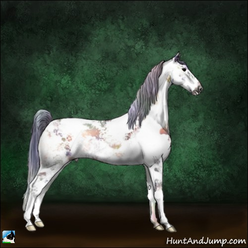 Horse Color:Gray Nacre Bay Ice Onyx Sabino 