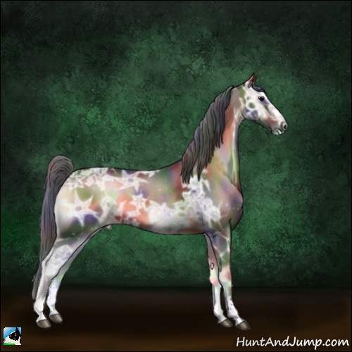 Horse Color:Nacre Brown Ice Onyx Sabino 