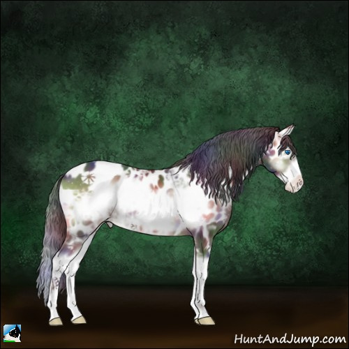 Horse Color:Nacre Bay Ice Onyx Sabino Splash Frame Appaloosa 