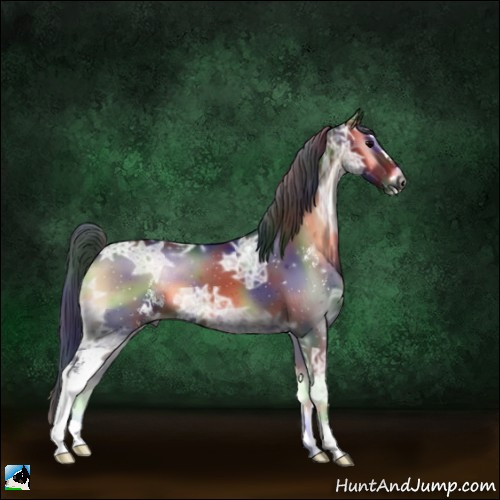 Horse Color:Gray Nacre Brown Ice Onyx Sabino 