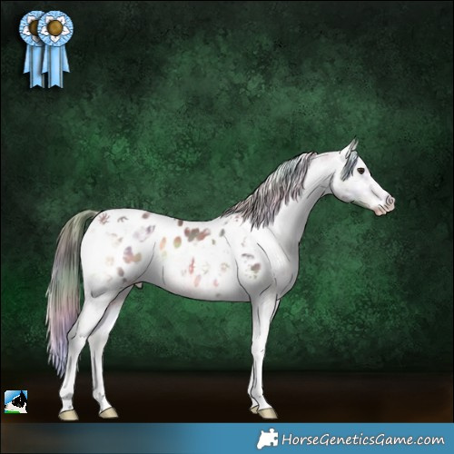 Horse Color:Nacre Liver Red Onyx Ice Tobiano Appaloosa 