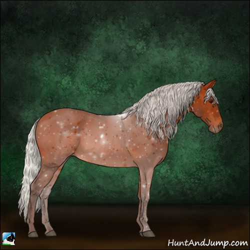 Horse Color:Silver Bay 