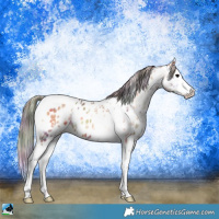 Horse Color:Nacre Bay Ice Onyx Splash Tobiano Leopard 
