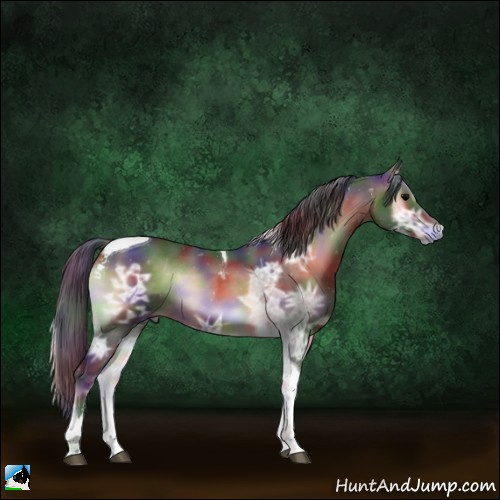Horse Color:Nacre Bay Ice Onyx Sabino Tobiano 