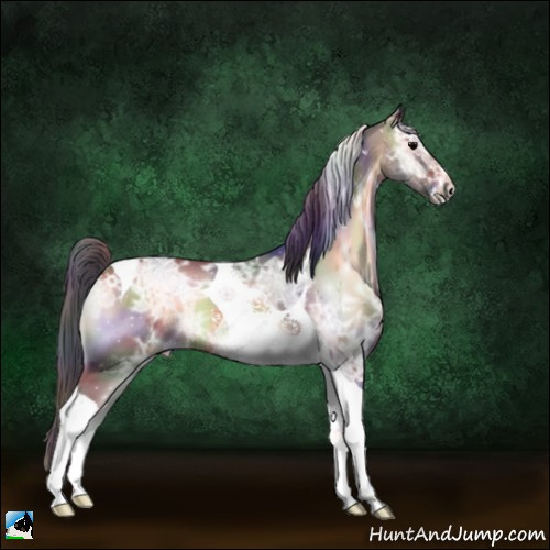 Horse Color:Nacre Bay Ice Onyx Sabino Tobiano 