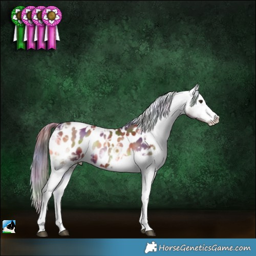 Horse Color:Nacre Red Onyx Ice Tobiano Appaloosa 