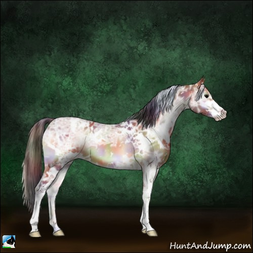 Horse Color:Nacre White Spotted Bay Ice Onyx Sabino 