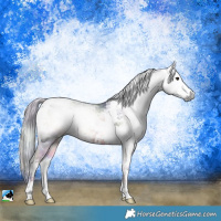 Horse Color:Gray Nacre Red Onyx Ice Tobiano 