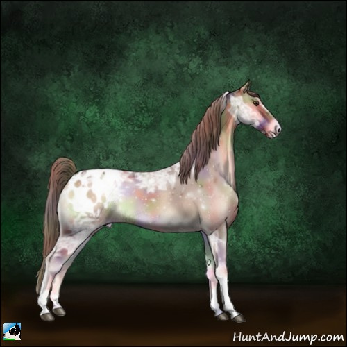 Horse Color:Nacre Red Onyx Ice Tobiano Appaloosa 