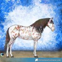 Horse Color:Nacre Bay Ice Onyx Sabino Tobiano Near Leopard