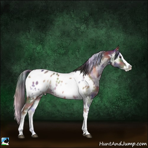 Horse Color:Nacre Liver Red Onyx Ice Sabino Splash Tobiano Appaloosa 