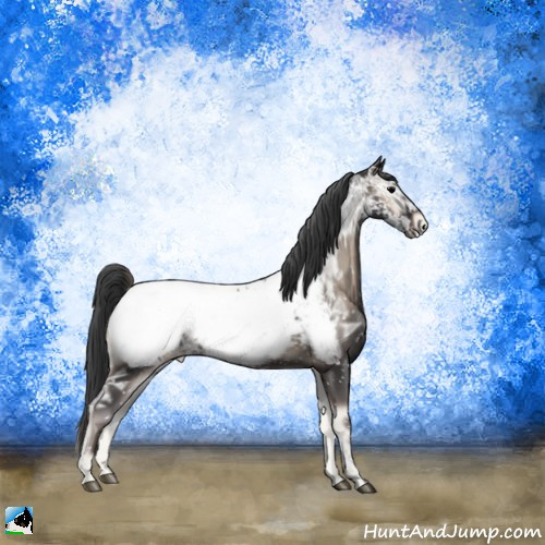 Horse Color:Blue Onyx Ice Appaloosa Rabicano 