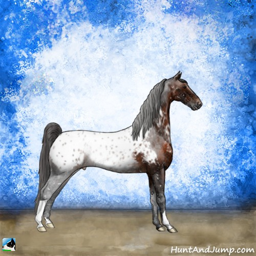 Horse Color:Brown Ice Appaloosa Rabicano 