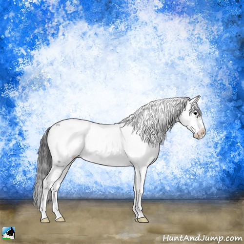 Horse Color:Brown Ice Onyx Sabino Appaloosa Rabicano 