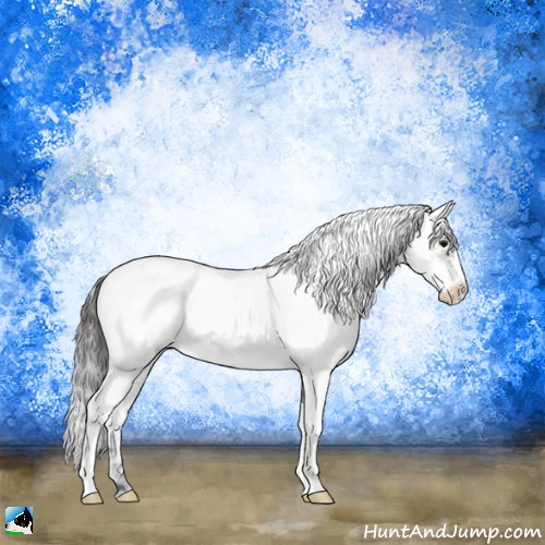Horse Color:Brown Ice Mushroom Sabino Appaloosa 