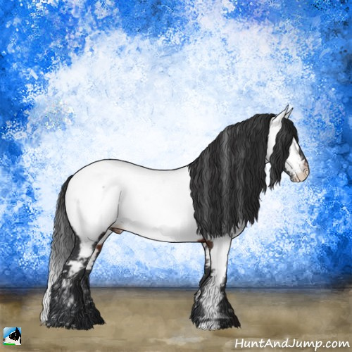 Horse Color:Brown Appaloosa Rabicano 