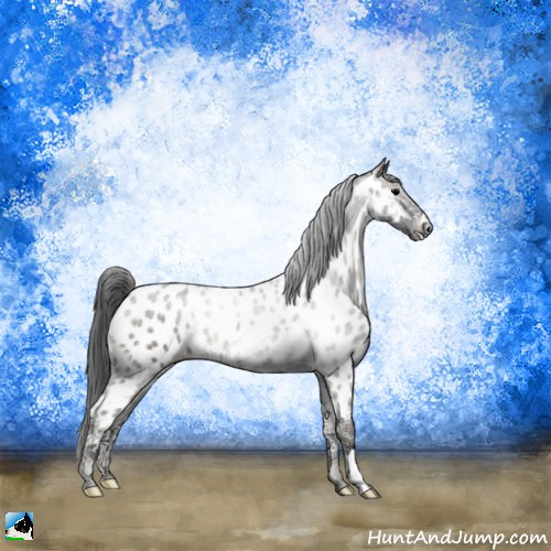 Horse Color:Blue Onyx Ice Appaloosa 