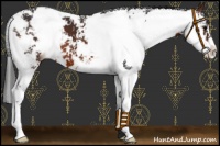 Horse Color:Brown Sabino 