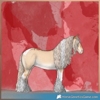 Horse Color:Gray Cremello Dun Tobiano 
