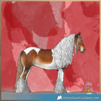 Horse Color:Gray Chocolate Palomino Tobiano