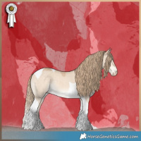 Horse Color:Perlino Dun Tobiano